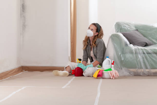 Reliable Black Mold Removal contractor in Snow Shoe, PA by WQB Mold Removal